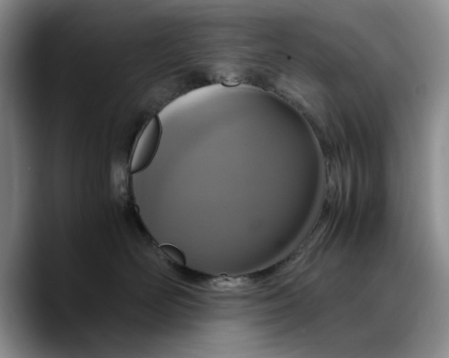 X0000089670526200707201642