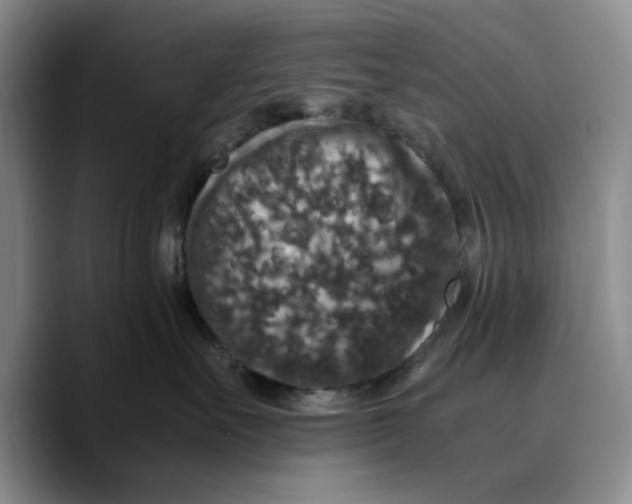 X0000089670527200707201642