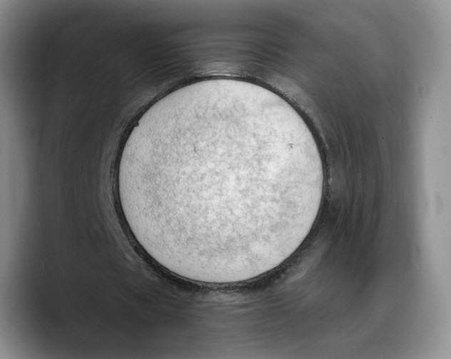 X0000089670529200707201641