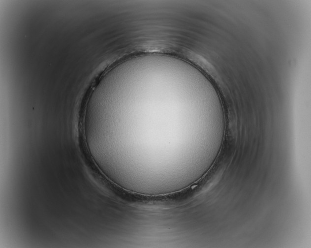 X0000089670530200707201641