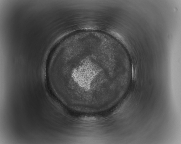 X0000089670531200707201641