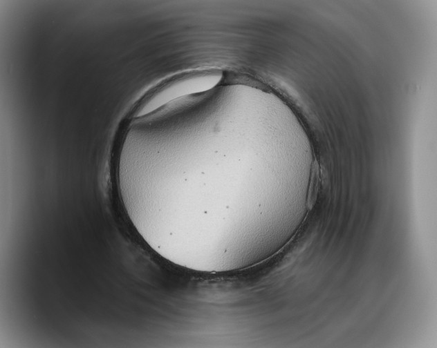 X0000089670532200707201641
