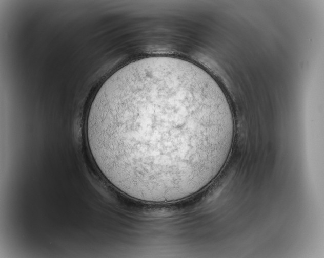 X0000089670533200707201641