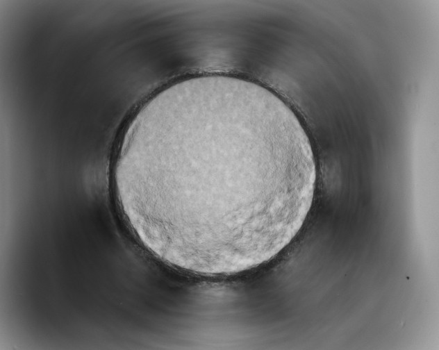 X0000089670534200707201641