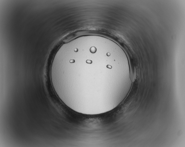 X0000089670536200707201641