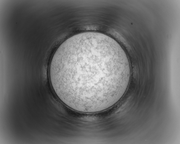 X0000089670537200707201641