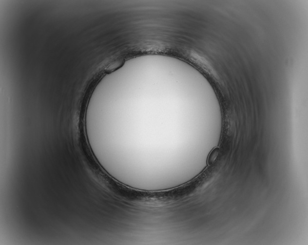 X0000089670538200707201641