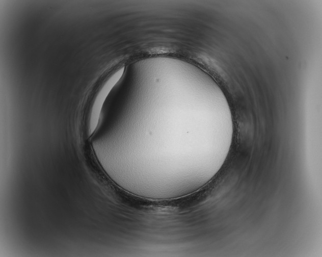 X0000089670539200707201641