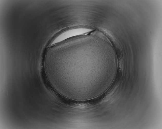 X0000089670540200707201641