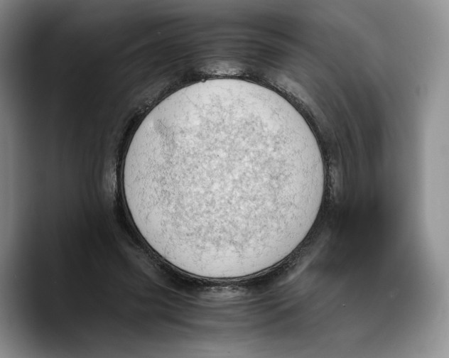 X0000089670541200707201641