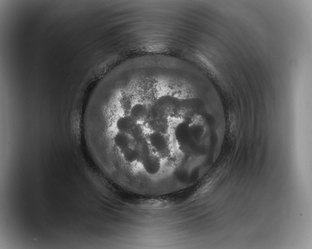 X0000089670542200707201641