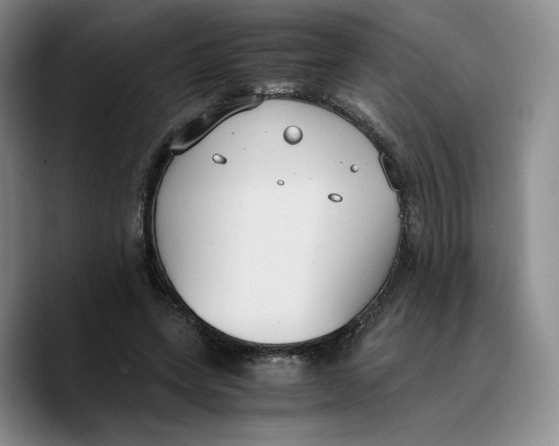 X0000089670543200707201641