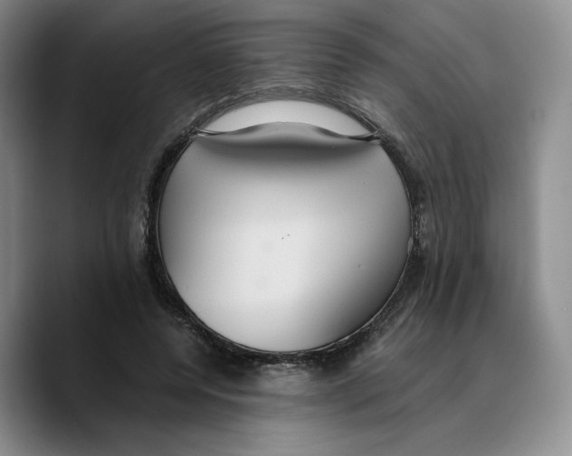 X0000089670544200707201641