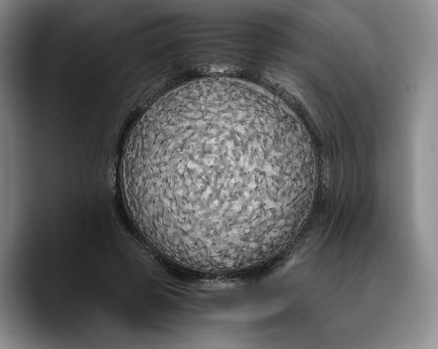 X0000089670545200707201641