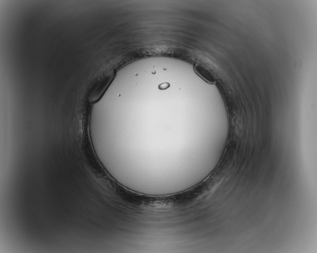 X0000089670546200707201641