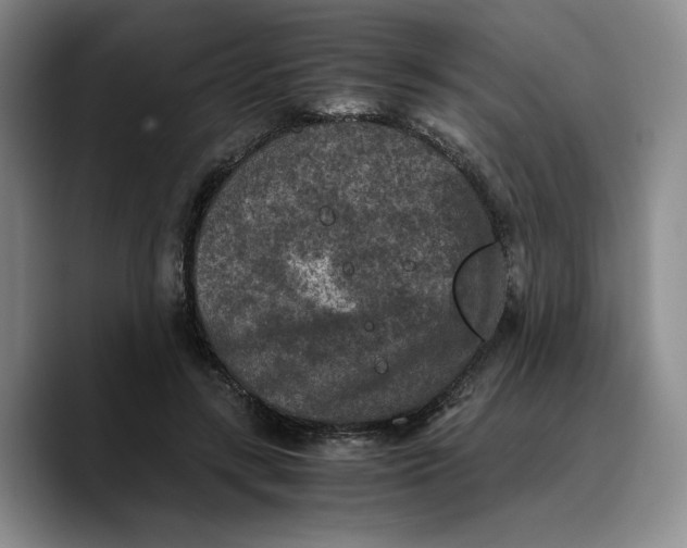 X0000089670547200707201641