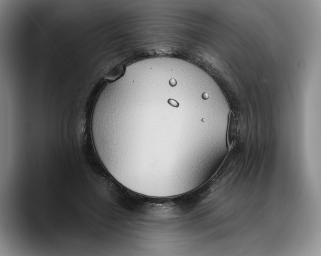 X0000089670548200707201641