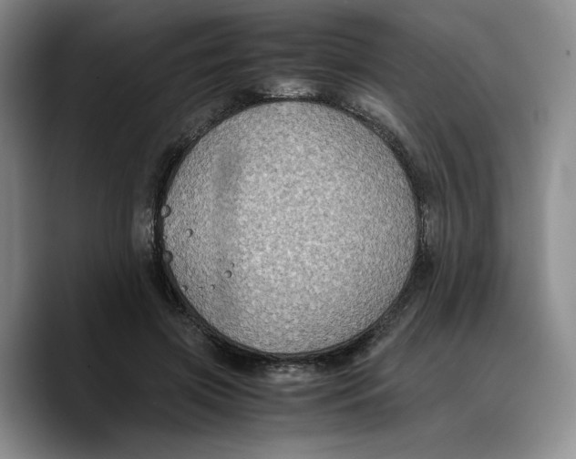 X0000089670549200707201641