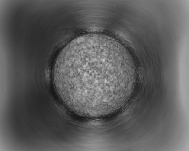 X0000089670550200707201641