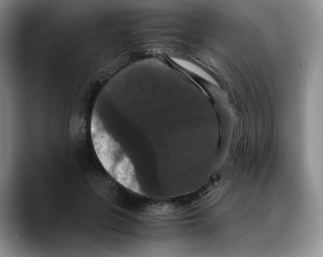X0000089670551200707201641