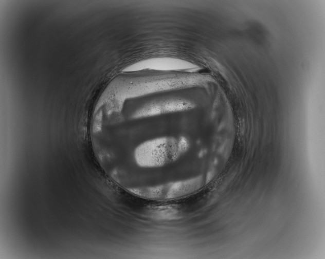 X0000089670553200707201641