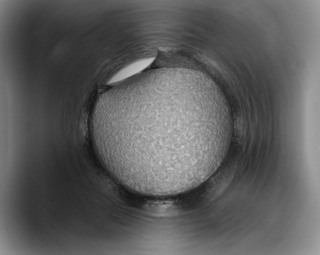 X0000089670554200707201641