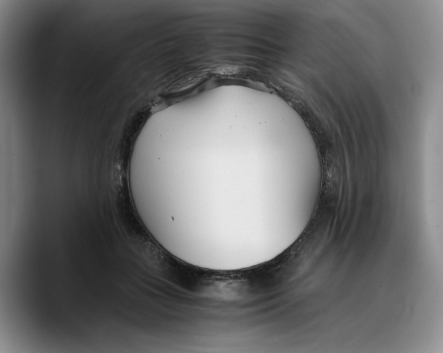 X0000089670555200707201641