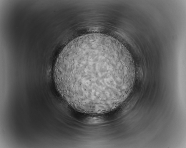 X0000089670557200707201641