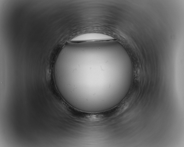 X0000089670558200707201641