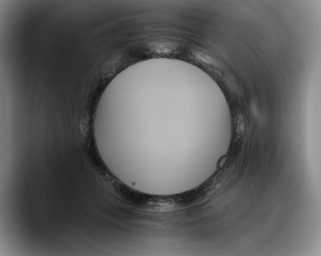 X0000089670559200707201641