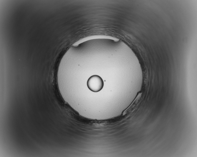X0000089670560200707201641