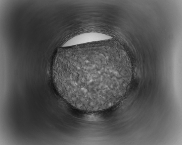 X0000089670561200707201641