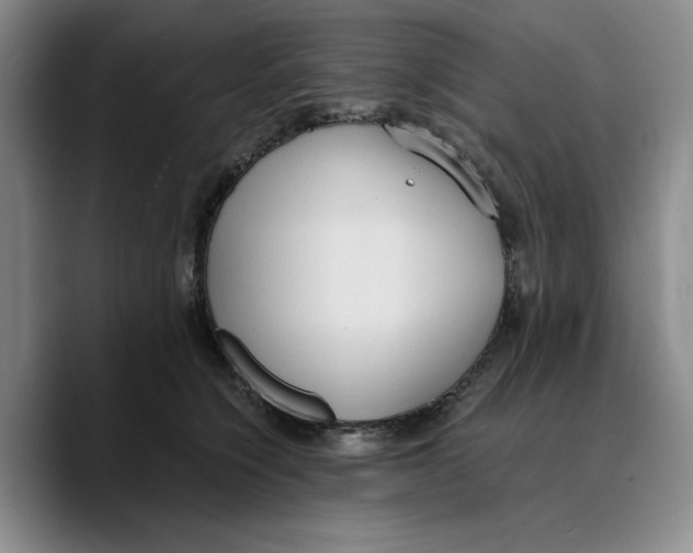 X0000089670564200707201641
