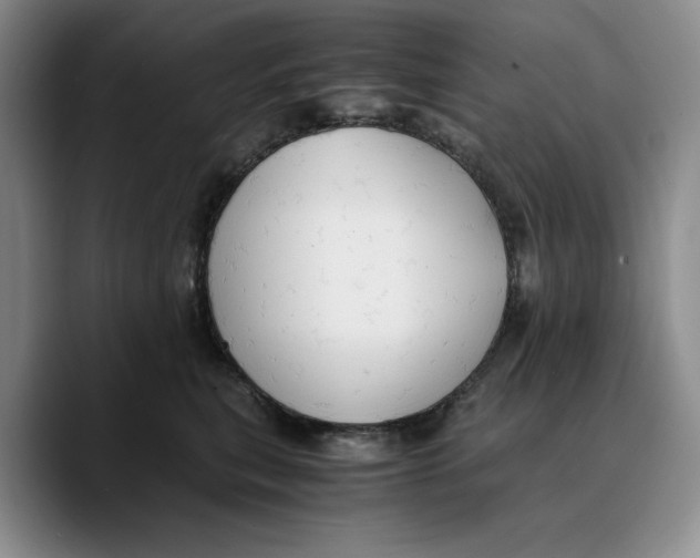 X0000089670567200707201641