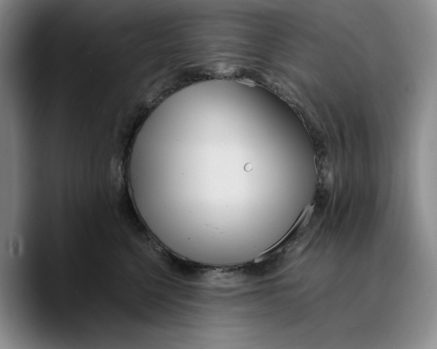 X0000089670568200707201641