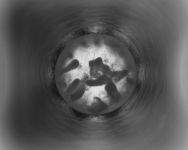 X0000089670569200707201641