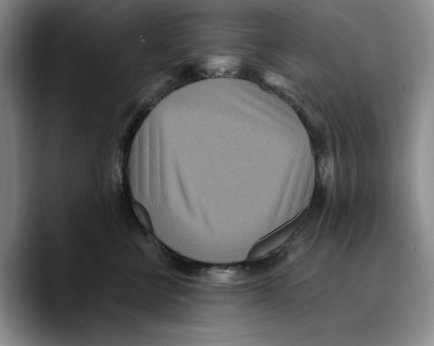 X0000089670570200707201641