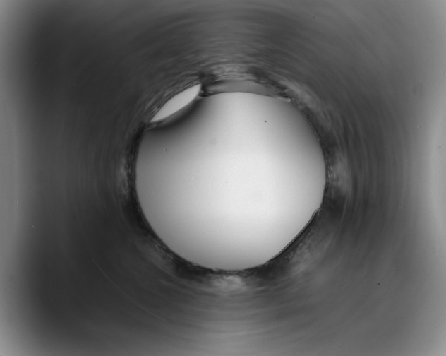 X0000089670572200707201642