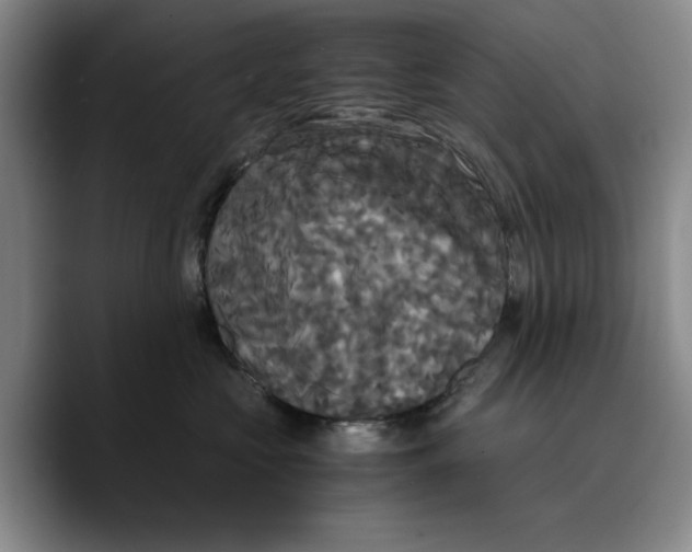 X0000089670573200707201642