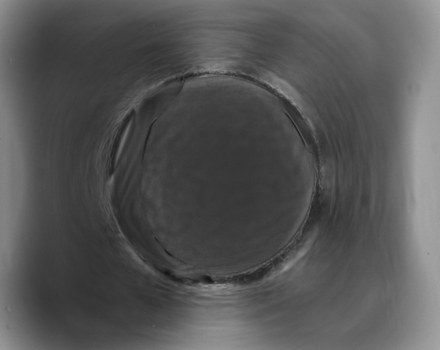 X0000089670577200707201641