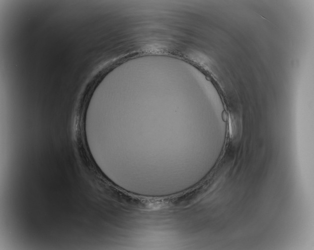 X0000089670579200707201641