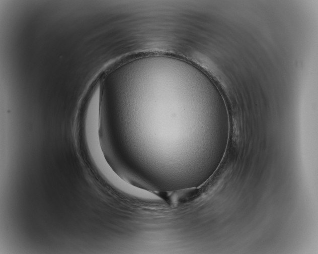 X0000089670580200707201641
