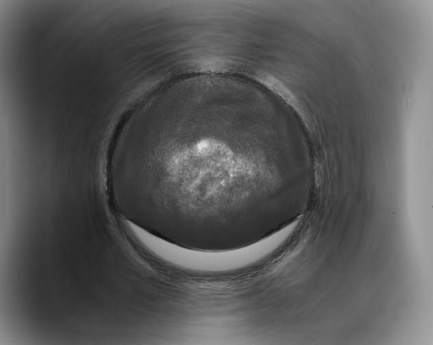 X0000089670581200707201641