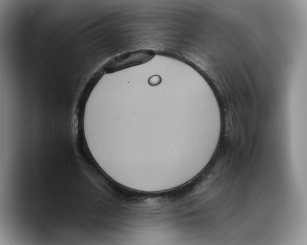 X0000089670584200707201641