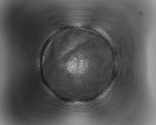 X0000089670585200707201641