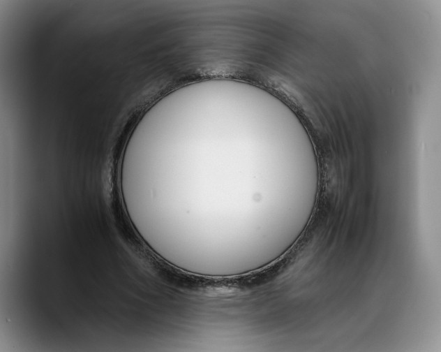 X0000089670586200707201641