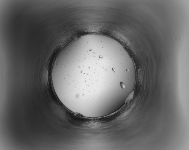 X0000089670589200707201641