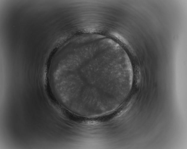 X0000089670590200707201641