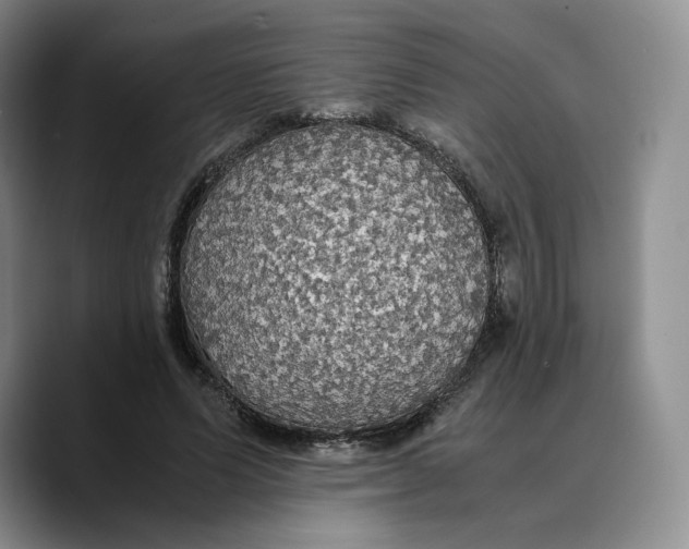 X0000089670591200707201641