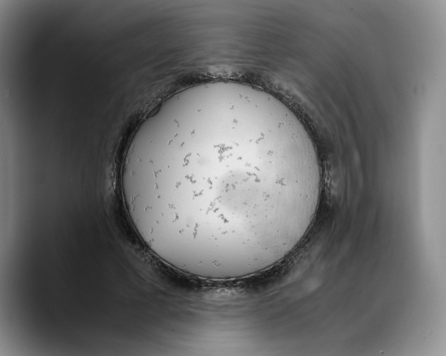 X0000089670593200707201641